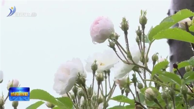 细节着手 让物业服务更温暖