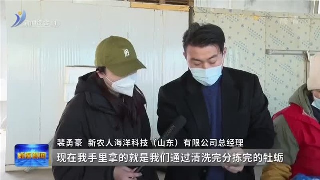 乳山牡蛎“飞”向全国