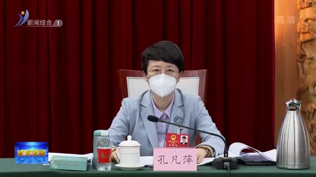 威海代表团集中审议省人大常委会和省“两院”工作报告