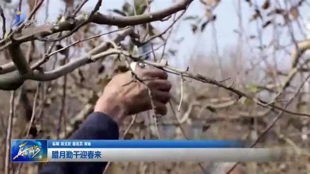 腊月勤干迎春来