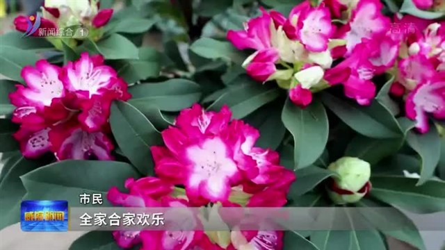 走基层•品年味