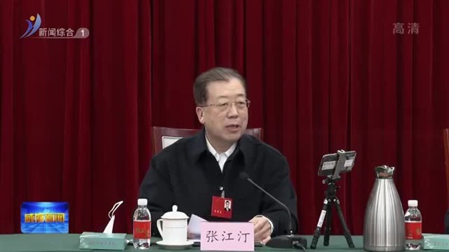 威海代表团集中审议省政府工作报告