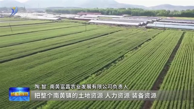 看见2022•人物故事｜我加入了乳山市南黄镇农业产业联合体