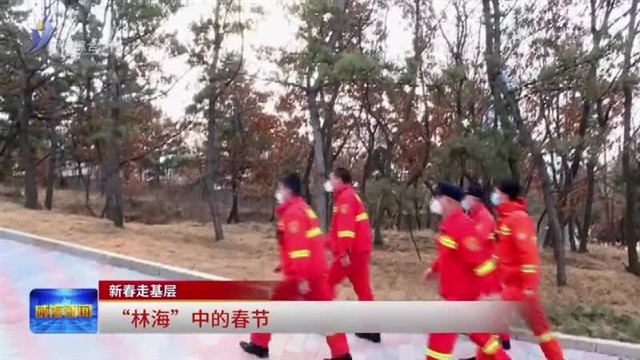 “林海”中的春节