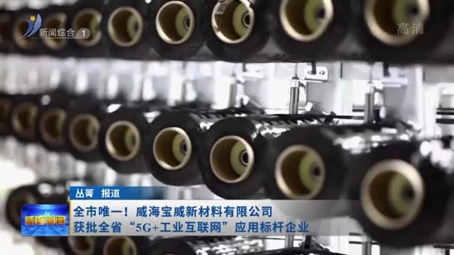 全市唯一！威海宝威新材料有限公司获批全省“5G 工业互联网”应用标杆企业