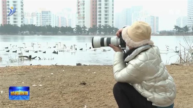 “冷”资源催生目的地“热”效应