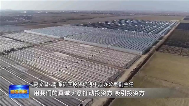 南海新区：招商引资 全员出击！