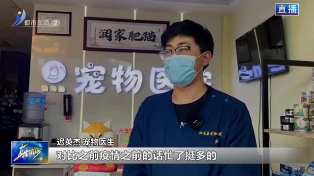 宠物经济再升温