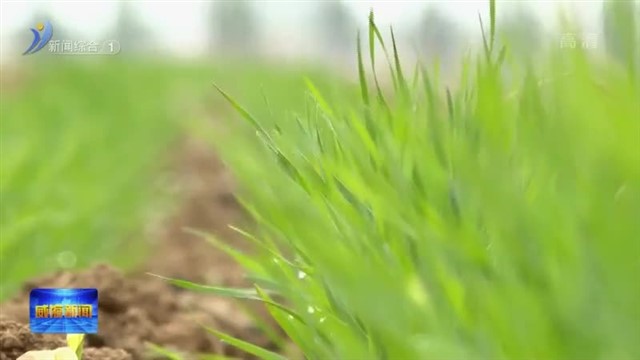 强信心 稳经济 促发展|种源强 农业兴