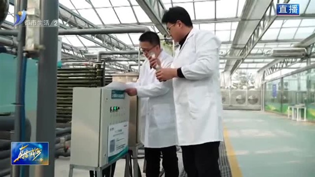 陌上青春闪金光 矢志不渝回家乡