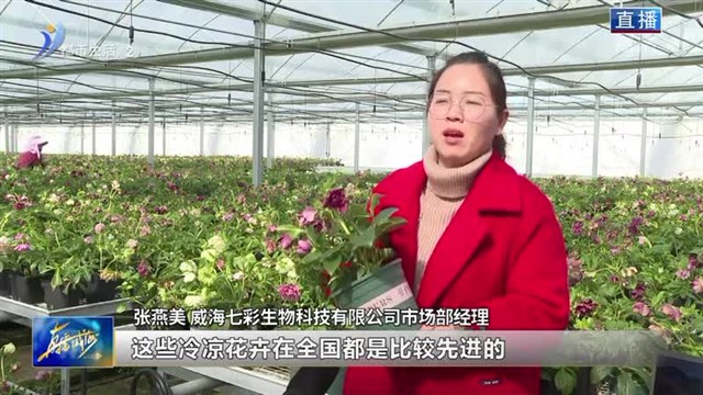 深耕农业沃土 精织乡村振兴锦绣画卷