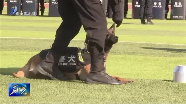 特警春日练兵进行时：强化本领展风貌