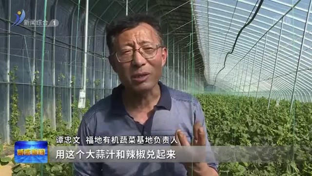 南海新区：用“绿色”打开市场