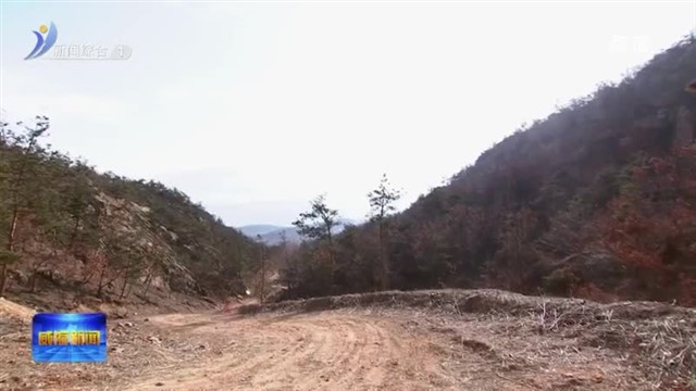 孔凡萍督导森林防火工作