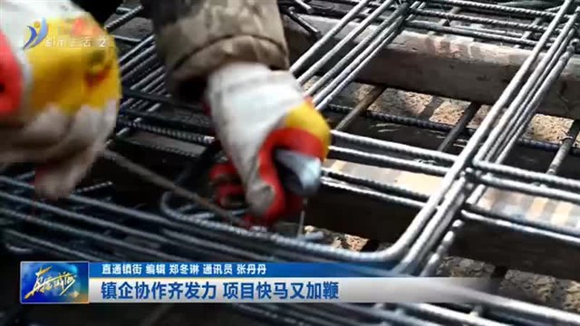 镇企协作齐发力  项目快马又加鞭