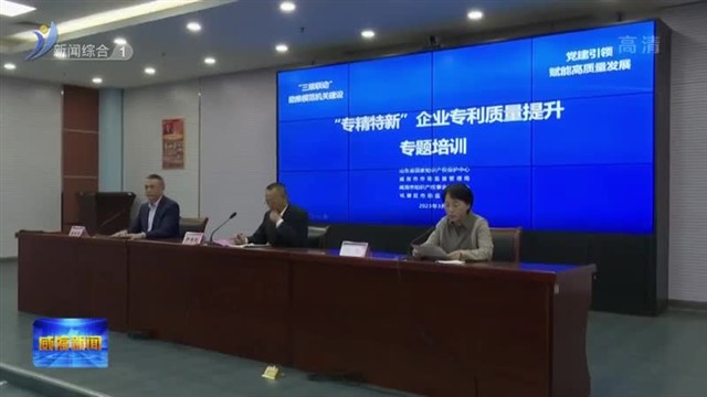 我市举行“专精特新”企业专利质量提升专题培训