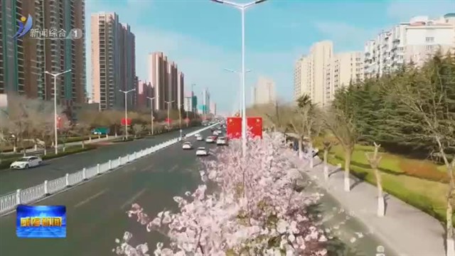 繁花盛开！来樱花大道赴一场浪漫之约