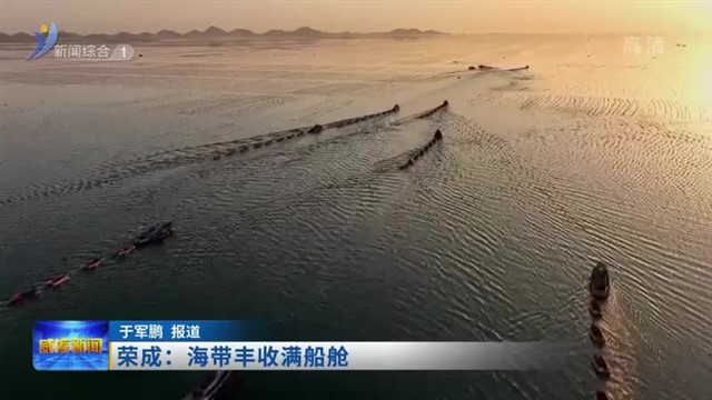 荣成：海带丰收满船舱