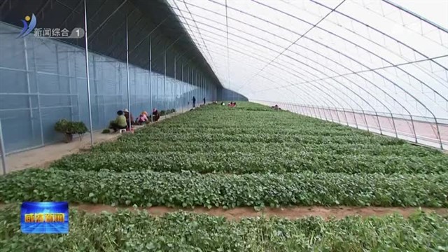 闫剑波调研乡村振兴和文化旅游工作