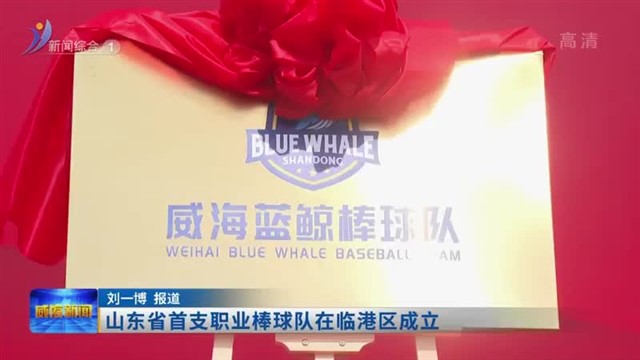 山东省首支职业棒球队在临港区成立