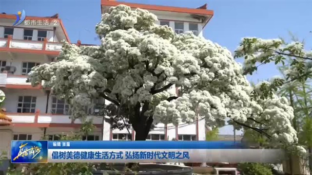 倡树美德健康生活方式 弘扬新时代文明之风