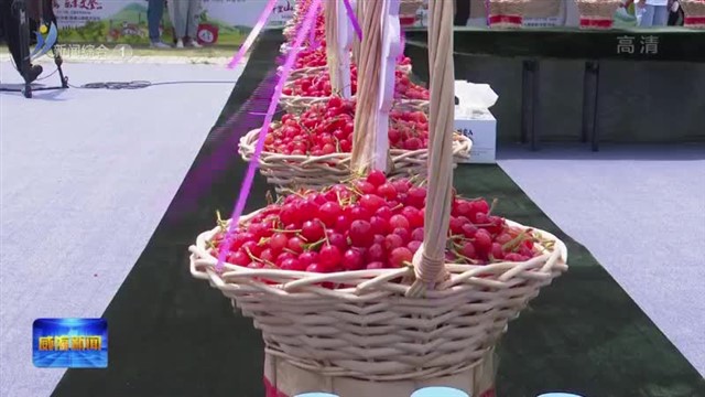 2023第十九届威海（文登）昆嵛山樱桃文化节甜蜜开幕