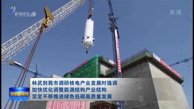 林武到我市调研核电产业发展时强调 加快优化调整能源结构产业结构 坚定不移推进绿色低碳高质量发展