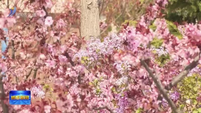 南海新区：优化居住环境 提升群众幸福感