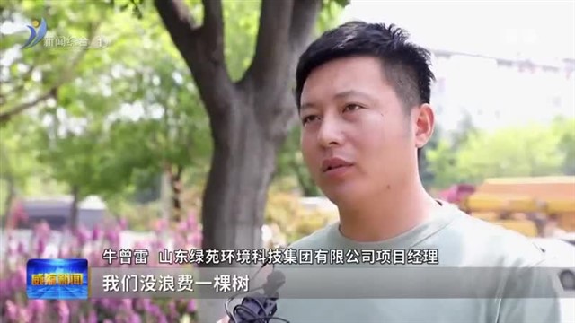 绣球大道亮相 经开区珠海路绿化提升工程改造完成