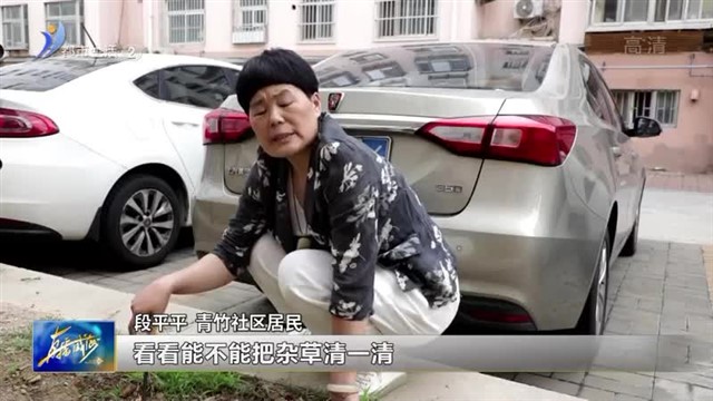 “自治”花园真美