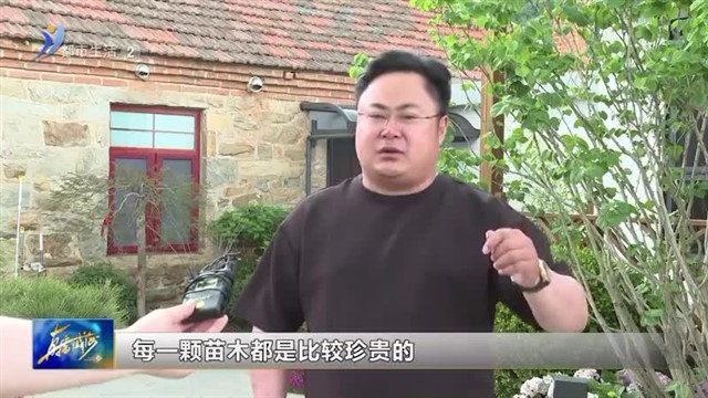 “小民宿”书写乡村振兴“大文章”【威海广电讯】