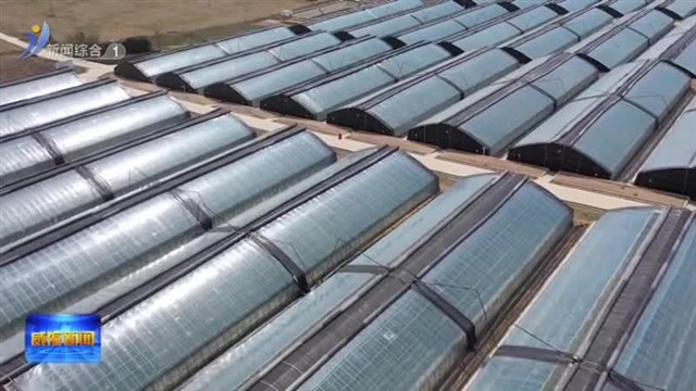 权威发布：用好农担政策推动农业农村高质量发展【威海广电讯】