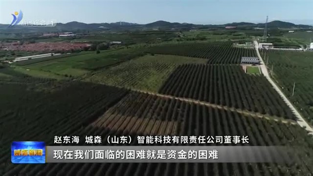 高新区：“店小二”式服务助孵化企业扬帆远航【威海广电讯】