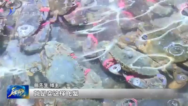 开海倒计时！海鲜市场情况如何？【威海广电讯】