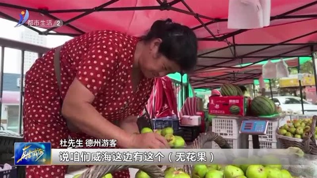 日均百单！威海无花果远销全国各地【威海广电讯】