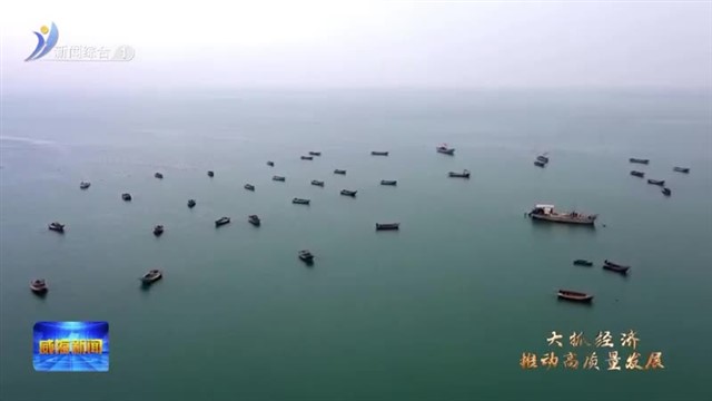 乳山：深耕蓝海 聚“蛎”发展【威海广电讯】