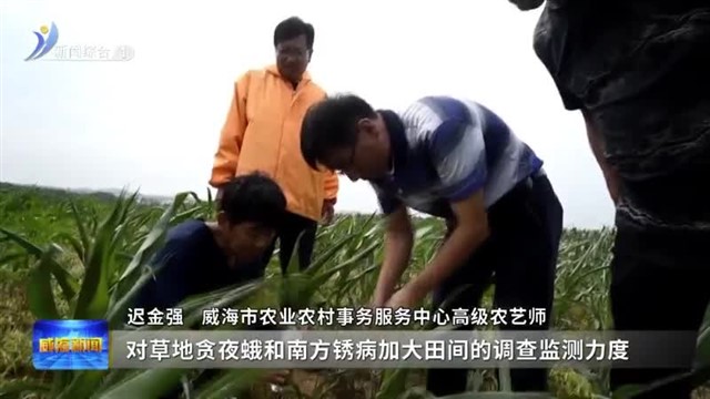 加大病虫害监测防控力度  确保秋粮丰产丰收【威海广电讯】