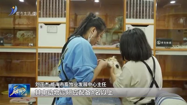 阳光问政对话畜牧业发展中心 动物诊所和动物医院有什么区别？【威海广电讯】