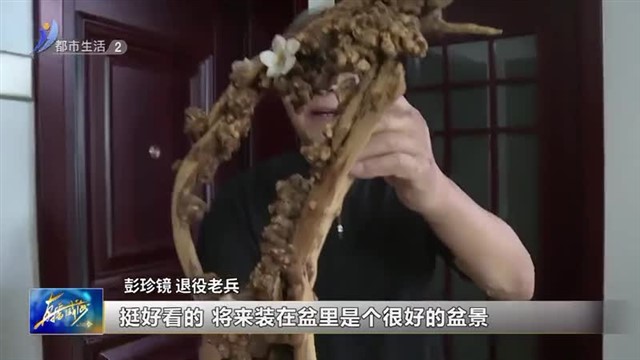 退役老兵：雕刻幸福的晚年【威海广电讯】