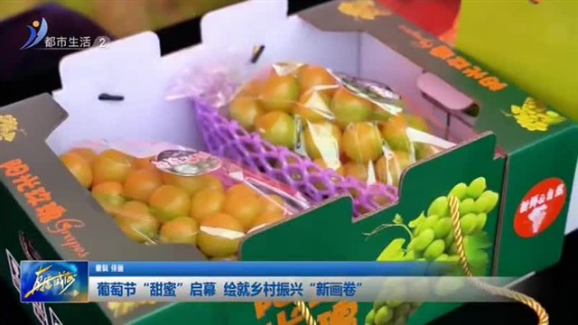 葡萄节“甜蜜”启幕  绘就乡村振兴“新画卷”【威海广电讯】