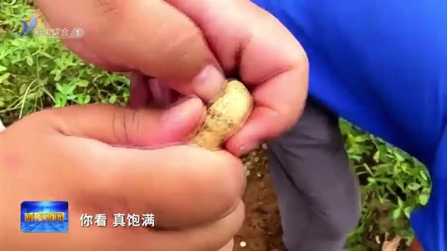 “丰”味十足好个秋！【威海广电讯】