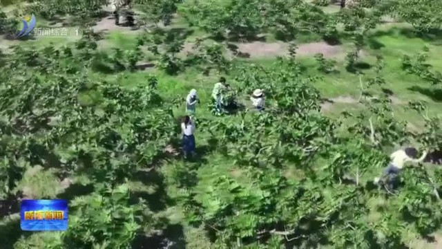 荣成市被评为2023年国家乡村振兴示范县【威海广电讯】