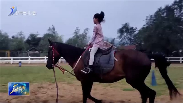 特色产业激发乡村振兴新活力【威海广电讯】