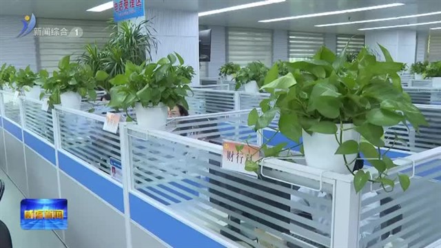 直通12345  威海市税务局：答疑纾困优服务【威海广电讯】