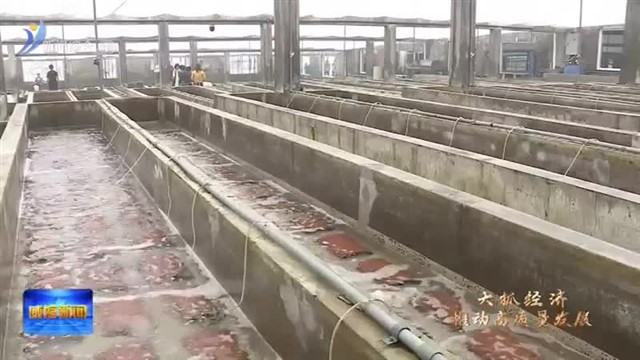 荣成：“耕种大海”有了新探索【威海广电讯】