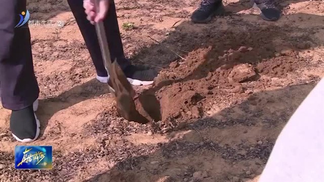 乳山市农业农村局：土壤“全面体检”筑牢粮食根基【威海广电讯】