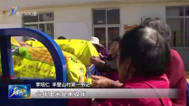 十月收晒秋粮忙 玉米丰收“金”满地【威海广电讯】