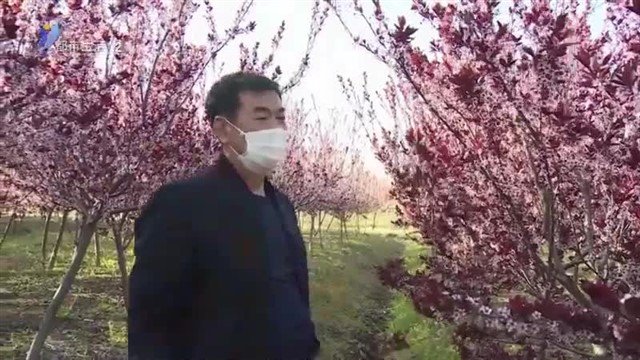 泽库镇：“兵支书”侯成合 带领村民共奔致富路