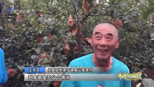 张家产镇：“老把式”不守旧 紧跟利农管出“双高园”