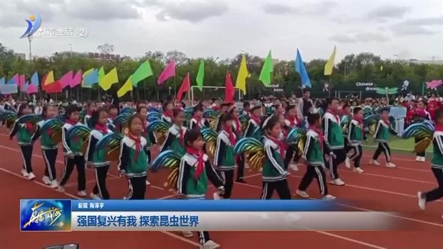 强国复兴有我 探索昆虫世界 【威海广电讯】